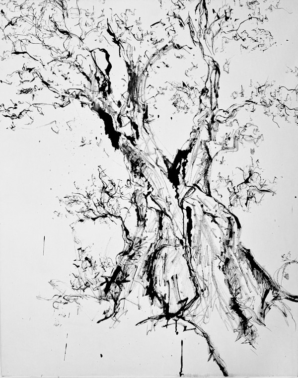 Puglia by Astrid Steingrueber, Image 1.