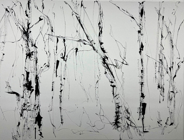 Birch Trees by Astrid Steingrueber, Image 1.