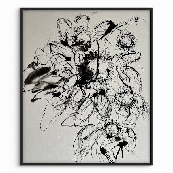 Sunflowers 2024 b/w by Astrid Steingrueber