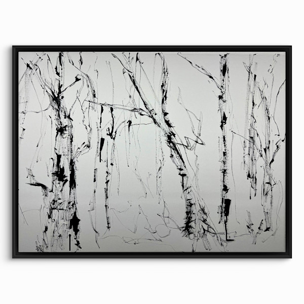 Birch Trees by Astrid Steingrueber