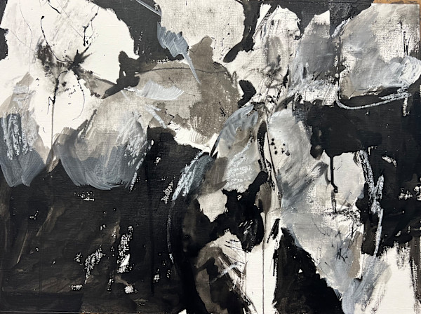 Noir Gardens by Astrid Steingrueber