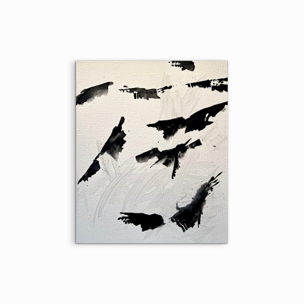 Shadows by Astrid Steingrueber, Image 4.