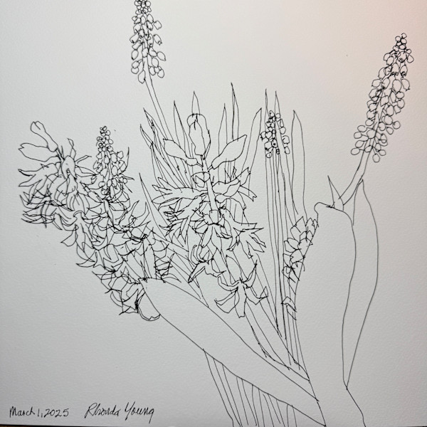 Spring Bulbs, March 2, 2025 by Rhonda Young