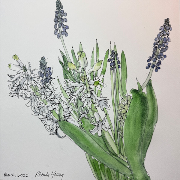 Spring Bulbs, March 1, 2025 by Rhonda Young