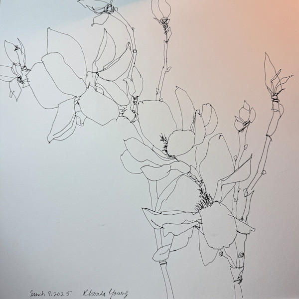 Magnolia Branch, March 9, 2025 by Rhonda Young