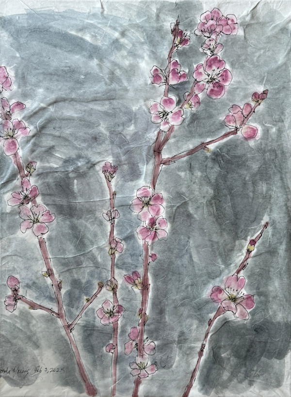 Pink Blossoms, February 3, 2025 by Rhonda Young