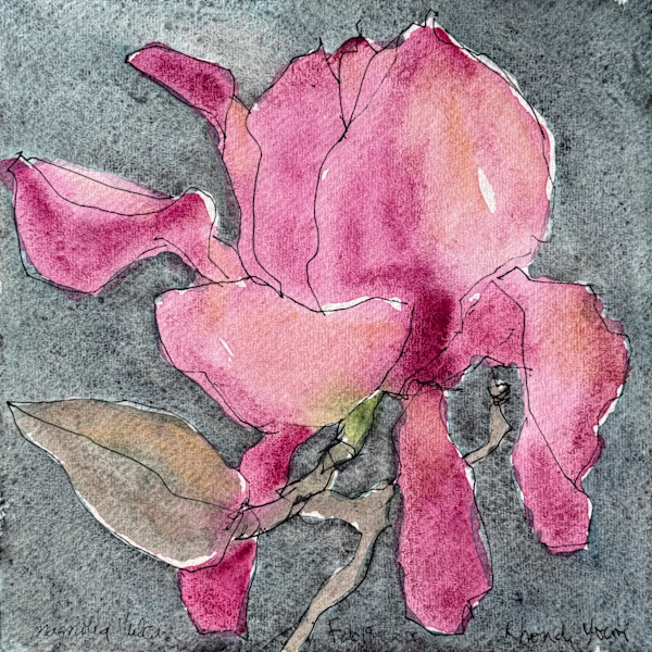 Vulcan Magnolia, San Francisco, February 18,  2025 by Rhonda Young