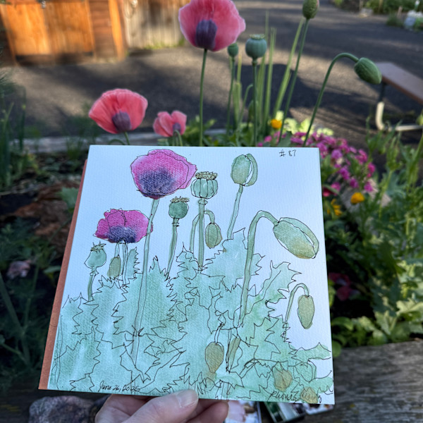 Peace Garden Poppies by Rhonda Young, Image 1.