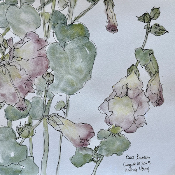 Gaby's Hollyhocks, Peace Garden, August 10, 2025 by Rhonda Young
