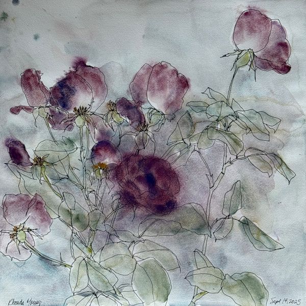 Moody Roses, September 14, 2025 by Rhonda Young