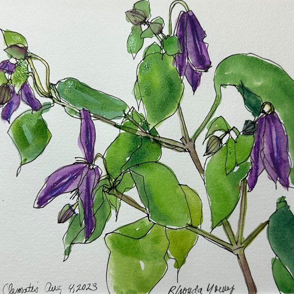 Purple Clematis by Rhonda Young