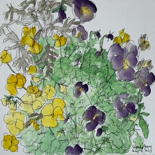 Pansy Pot, May 14, 2023 by Rhonda Young
