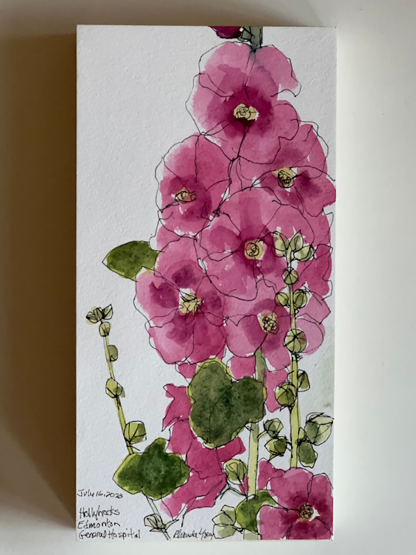 Hollyhocks, Edmonton General Hospital by Rhonda Young
