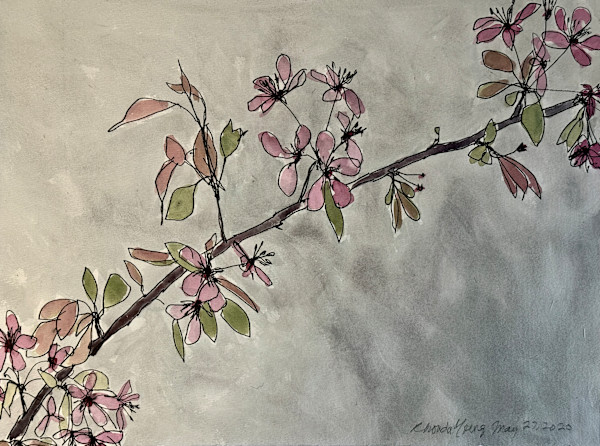 Weeping Crabapple Blossoms, May 27, 2020 by Rhonda Young
