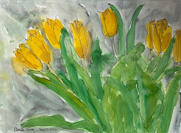 Yellow Tulips, May 2, 2026 by Rhonda Young, Image 1.