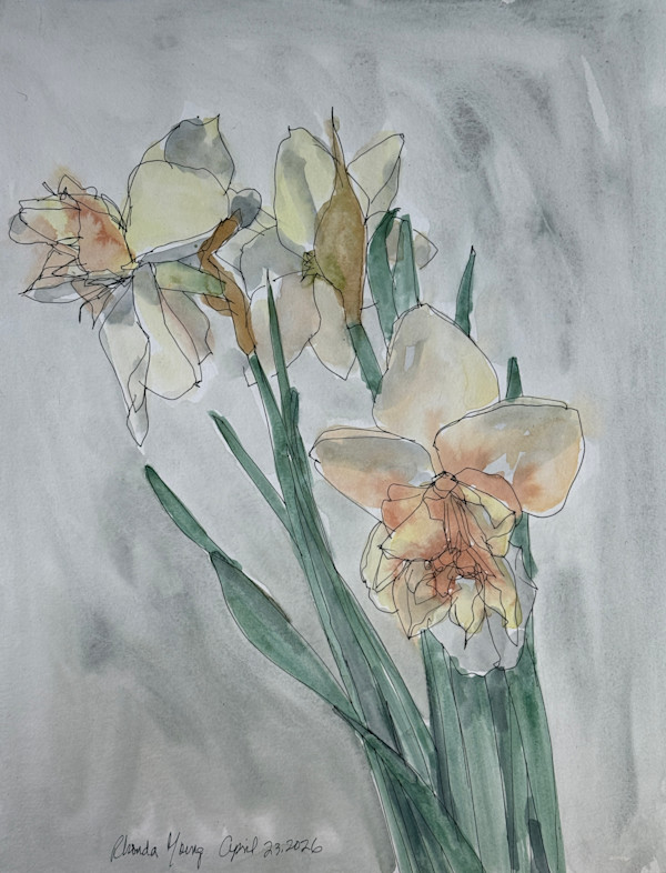 Daffodils, April 23, 2026 by Rhonda Young, Image 1.