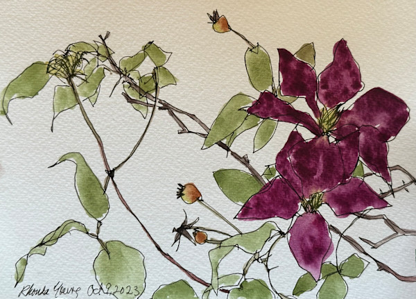 Rose Garden Hyde Park, Oct 9, 2023 by Rhonda Young