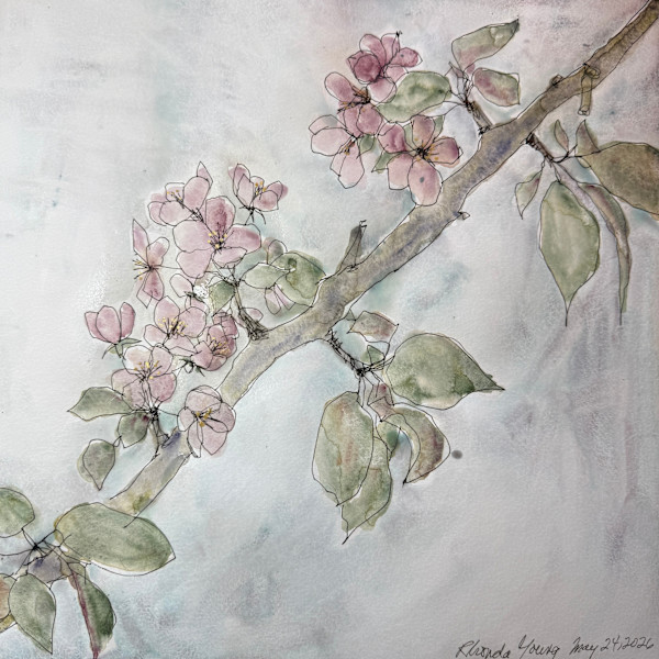 Crabapple Blossoms, May 24, 2026 by Rhonda Young, Image 1.