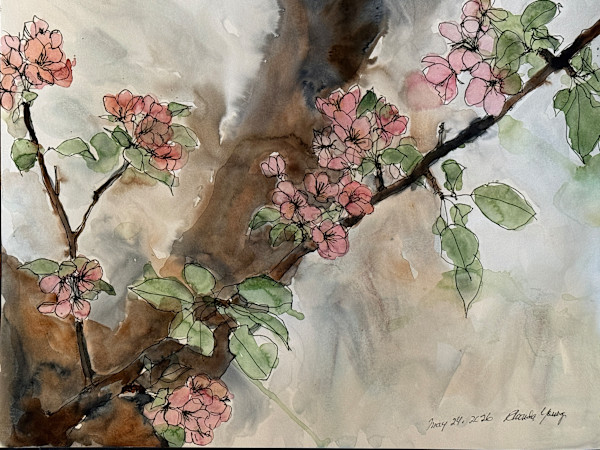 Crabapple Branches, May 24, 2026 by Rhonda Young, Image 1.