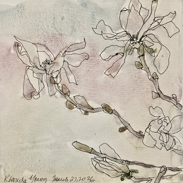 Vancouver Magnolias, March 27, 2026 by Rhonda Young, Image 1.