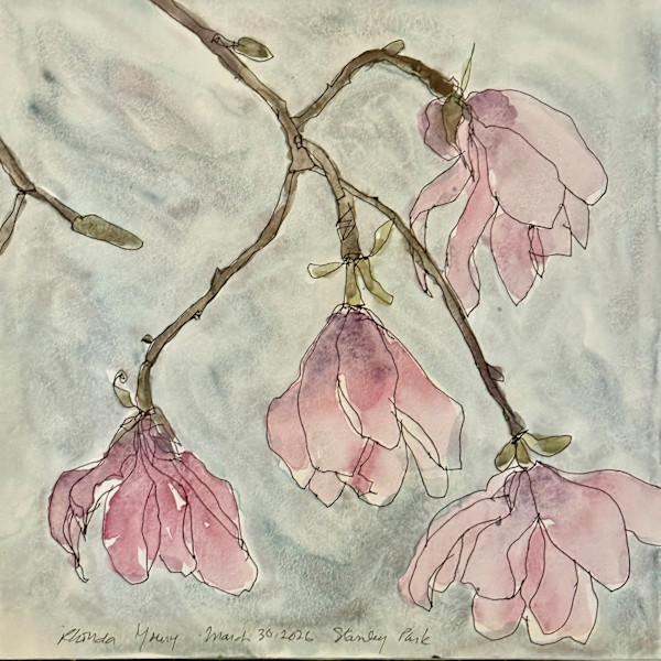 Stanley Park Magnolias, March 30, 2026 by Rhonda Young, Image 1.