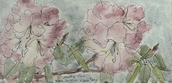 Stanley Park Rhododendrons by Rhonda Young, Image 1.