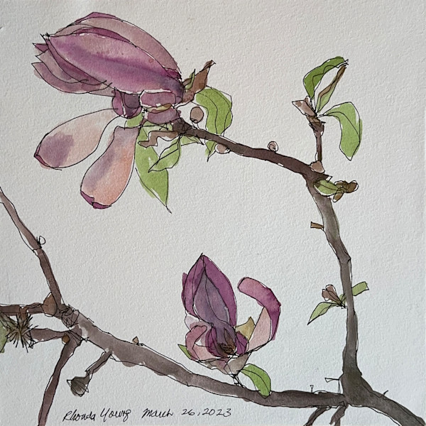 Magnolia Branch, March 26, 2023 by Rhonda Young