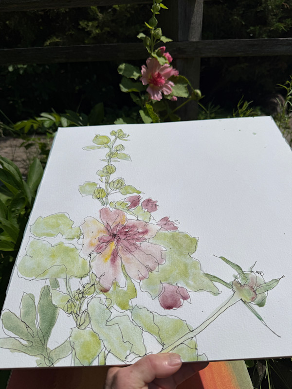 Hollyhocks, July 12, 2026 by Rhonda Young, Image 1.