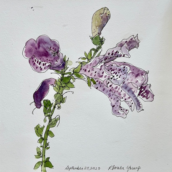 Foxgloves #2, September 24, 2023 by Rhonda Young
