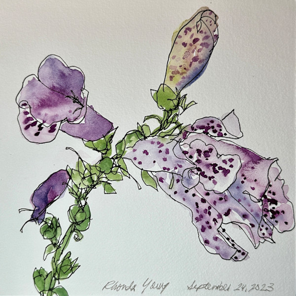Foxgloves #1, September 24, 2023 by Rhonda Young