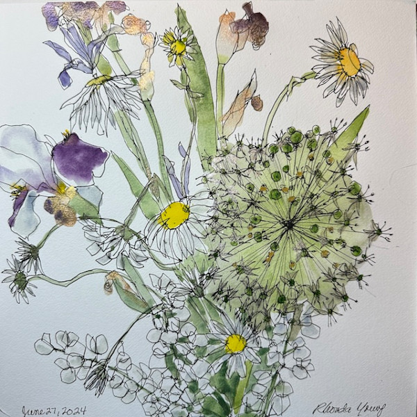 Allium, Irises and Daisies, June 27, 2024 by Rhonda Young