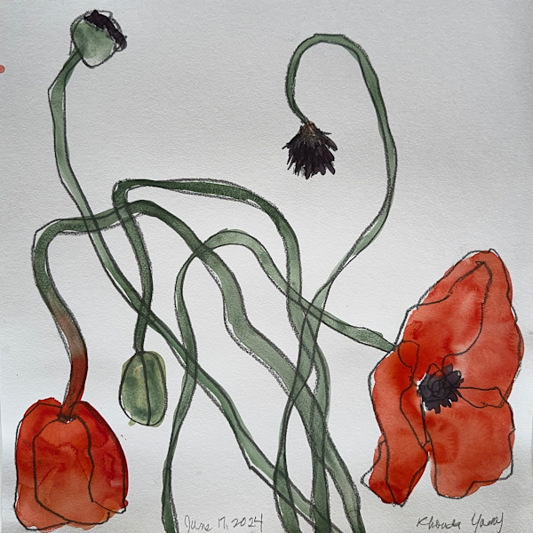 Poppies #2, June 17, 2024 by Rhonda Young