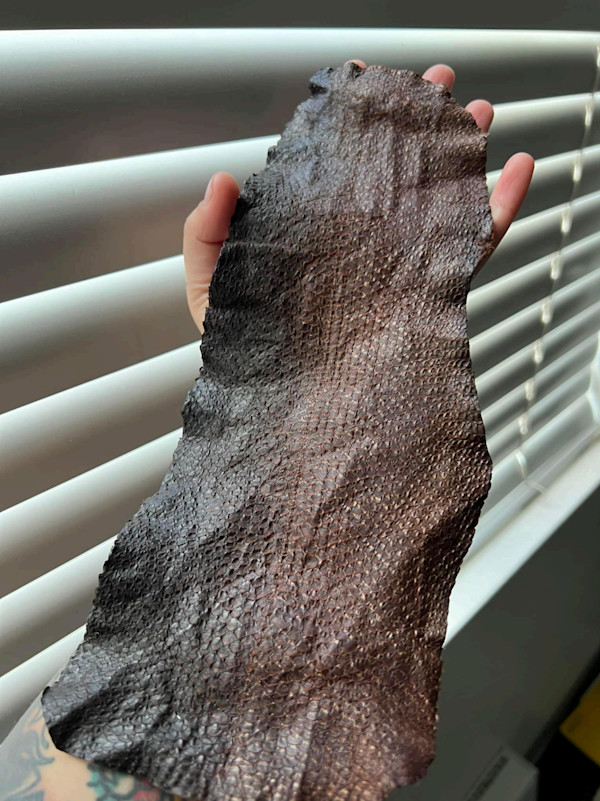 Untitled by Tava Kairaiuak