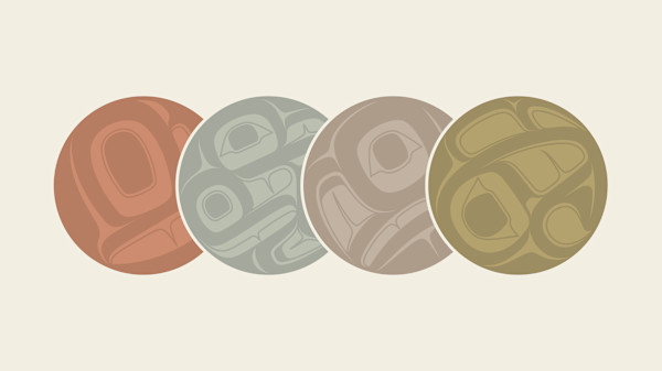 The Salmon Life Cycle by Nick Alan