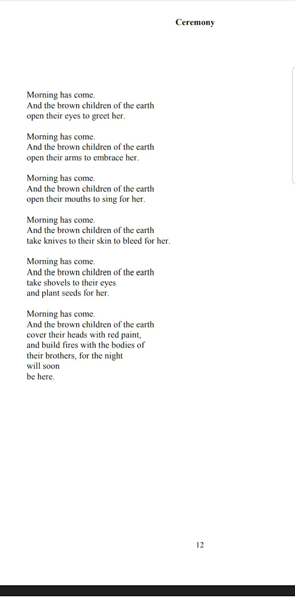 Ceremony by Sara Marie Ortiz