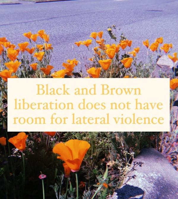 Lateral Violence by Brandi Douglas