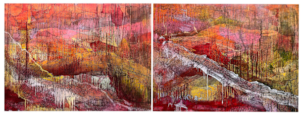 (Loloks / bootleg fire) our ancestral homelands burn while the settlers steal the water -Diptych by Camas Logue