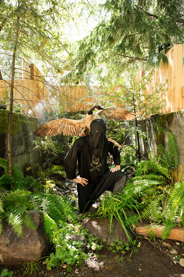 Scenes from the nanoforest: Death with Goose by Daniel R Smith