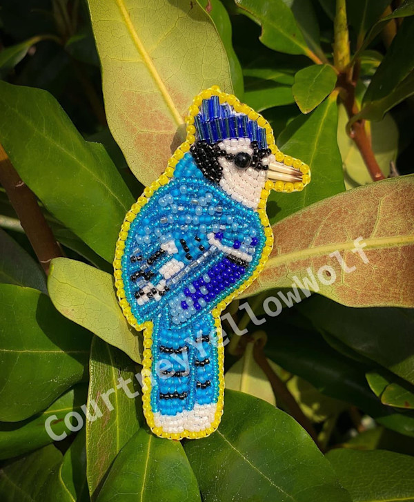 Blue Jay by Courtney YellowWolf Graham