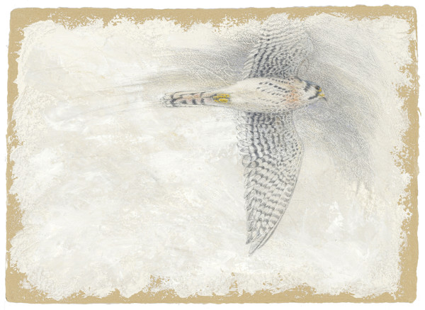 Quicksilver by Kelly Leahy Radding