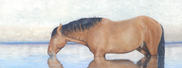 The Reflecting Pool by Kelly Leahy Radding