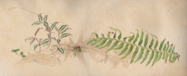 Winter Greens by Kelly Leahy Radding