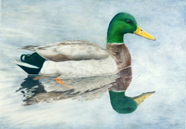 Winter's Glide by Kelly Leahy Radding