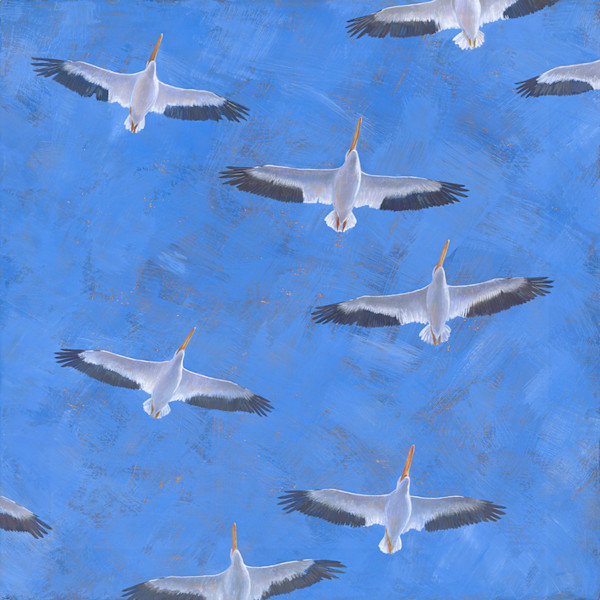 Gliding Under a Gilded Sky by Kelly Leahy Radding