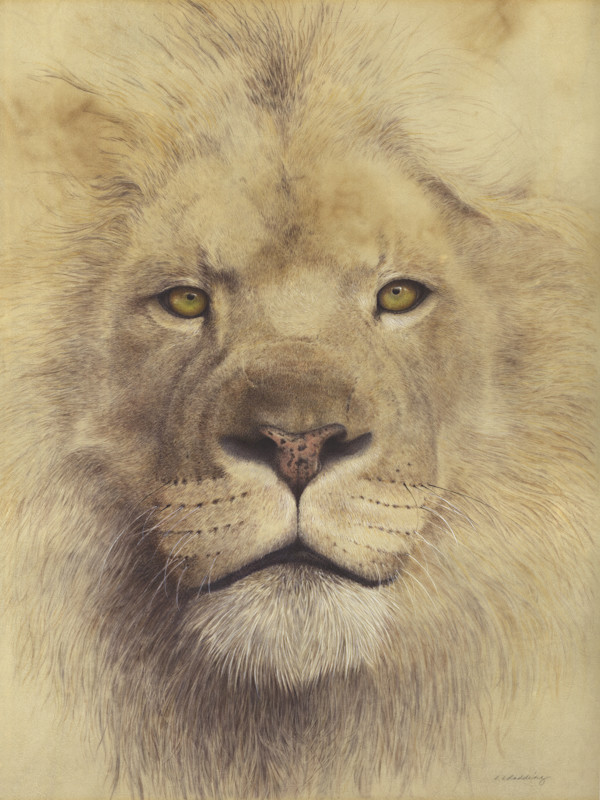 I am STILL King by Kelly Leahy Radding