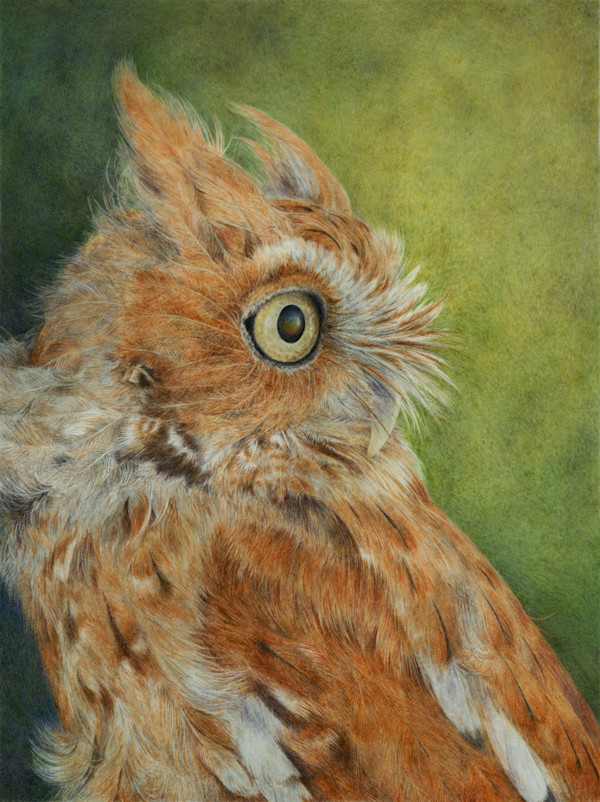 Minuet in Red by Kelly Leahy Radding