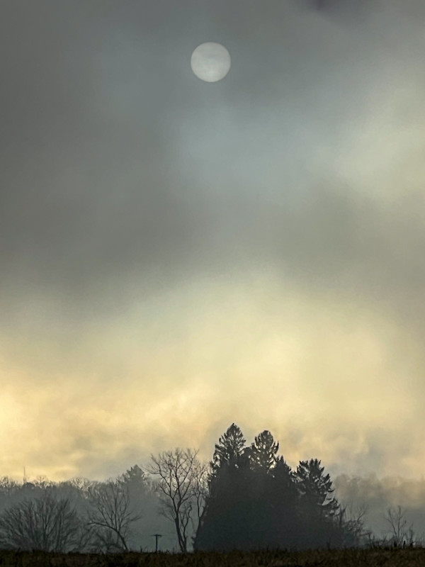 Christmas Fog by Indy Beck