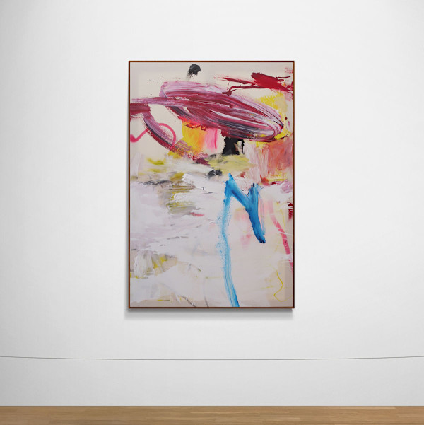 THE UNEXPECTED II (UNKNOWN GALAXIES) by Daniela Schweinsberg