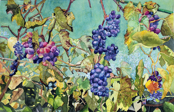 Temptations of Chianti by Hana Aviv, Image 1.