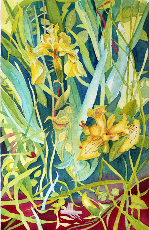 Iris, Entangled by Hana Aviv, Image 1.